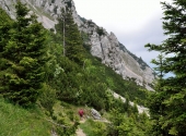 hochstaufen-168_0