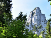 dav-hoerndlwand-11_00001