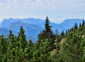 dav-hoerndlwand-29_00001