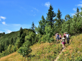 dav-hoerndlwand-73_00001