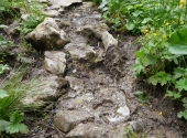 hohenock-11_bearbeitet-1