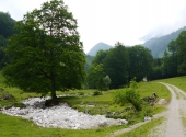 hohenock-3_bearbeitet-1