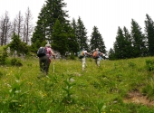 hohenock-9_bearbeitet-1