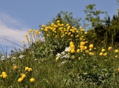 hoerndlwand-12