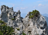 hoerndlwand-17