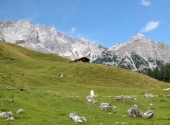 gr-231