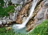 seehorn-185