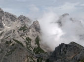 seehorn-73