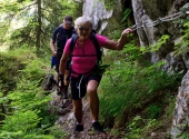 streicher-runde-35
