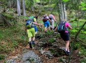 streicher-runde-55