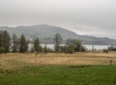 p1090194-dav-irrsee