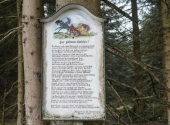 p1090234-dav-irrsee
