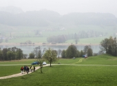p1090266-dav-irrsee