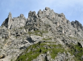 goinger-halt-240