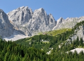 goinger-halt-291