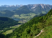 wandberg-dav-24