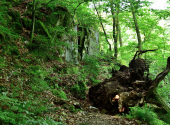 kleineskoesselbachtaldav-21_00001