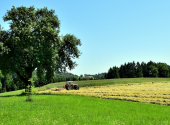 kleineskoesselbachtaldav-96_00001