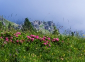 kleinereibn-25_bearbeitet-2