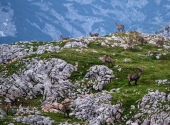 kleinereibn-53_bearbeitet-2