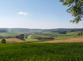 p1090967