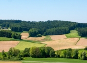 p1100016