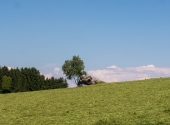 p1100017