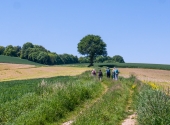 p1100056