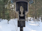 hoelzerne-hand