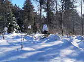 landshuter-haus-24_00001