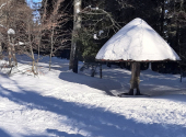 landshuter-haus-28_00001