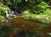 moldau-2