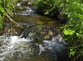 moldau-5