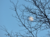 lusen-mondscheintour-12_00001_00002