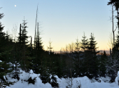 lusen-mondscheintour-19_00001_00004