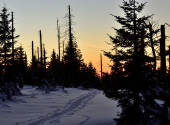 lusen-mondscheintour-26_00001_00006