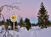 lusen-mondscheintour-27_00001_00007