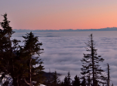 lusen-mondscheintour-37_00001_01_00011