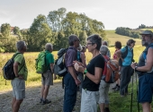 p1420374-taelerrunde