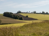 p1420375