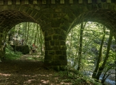 p1420403