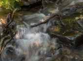 p1420424-taelerrunde
