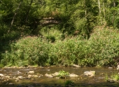 p1420443