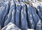 img-20191014-wa0033