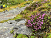 essener-rockocker-huette-147_00001_00003