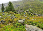 essener-rockocker-huette-155_00001_00004