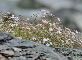 essener-rockocker-huette-47_00001_00002