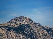 pl-dav-8