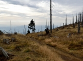 ploeckenstein-7