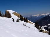 postalm-103